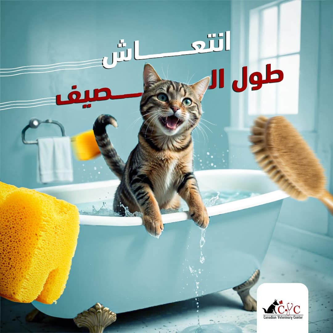 Post 3 انتعاش طول الصيف